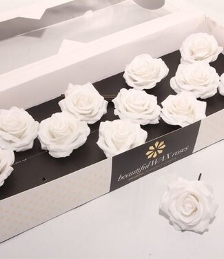 AD White silk wax roses | Size M | Per 12 pieces