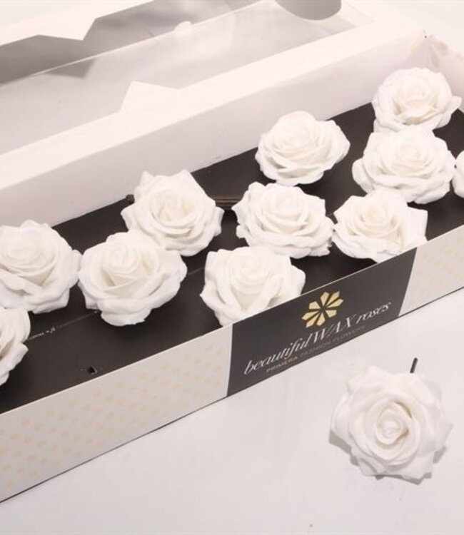 White silk wax roses | Size M | 12 pieces per box | Order per box