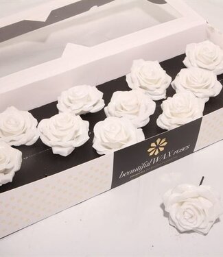 AD White silk wax roses White Diamond | Size M | Per 12 pieces