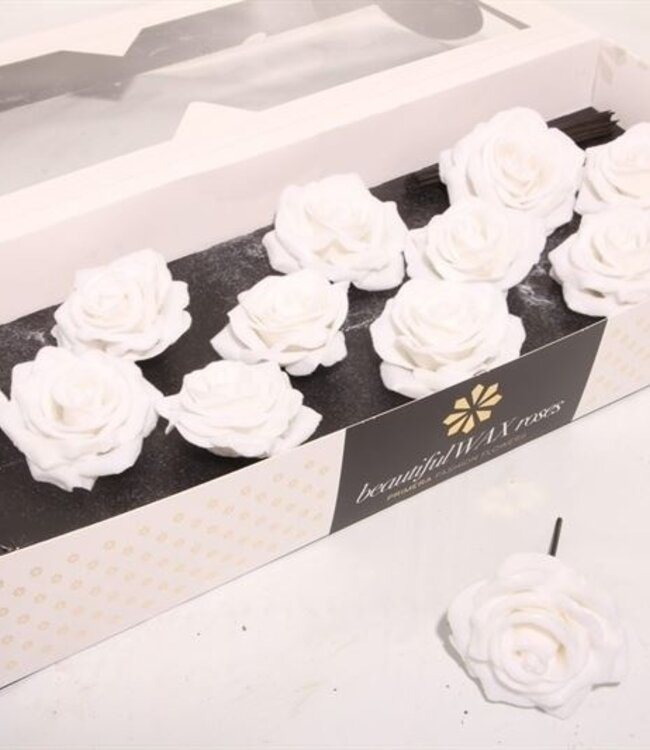 Snow white silk wax roses White Snow | Size M | 12 pieces per box | Order per box