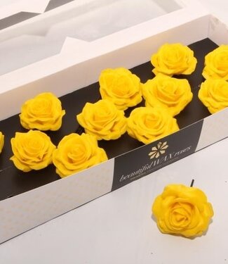 AD Yellow silk wax roses | Size M | Per 12 pieces