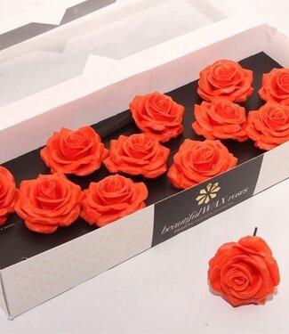 AD Orange silk wax roses | Size M | Per 12 pieces