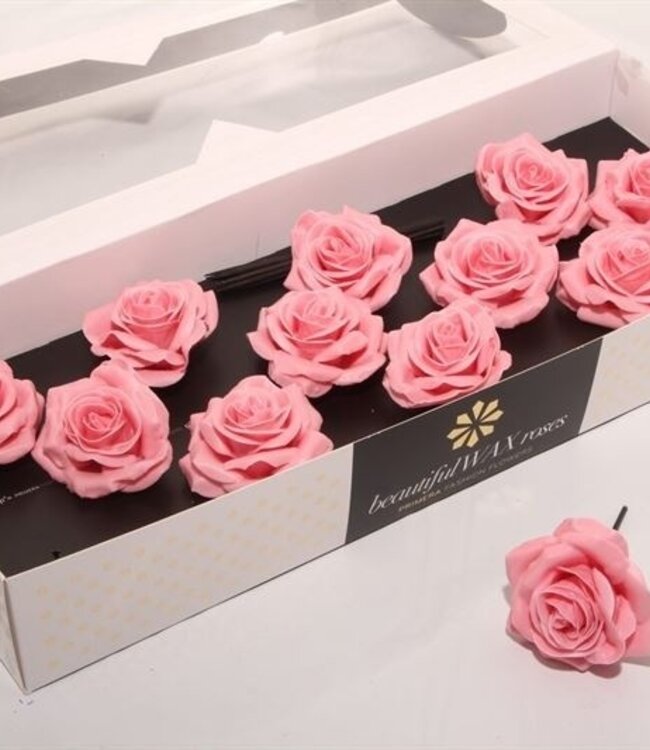 Light pink silk wax roses | Size M | 12 pieces per box | Order per box