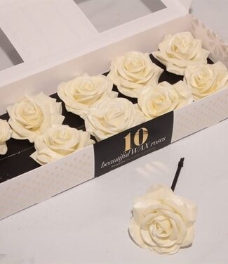 AD Cream-coloured silk wax roses | Per 10 pieces