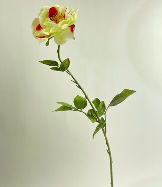 Silk Flowers by JJ Cream-coloured rose with red silk flower | Length 67 centimetres | Per piece