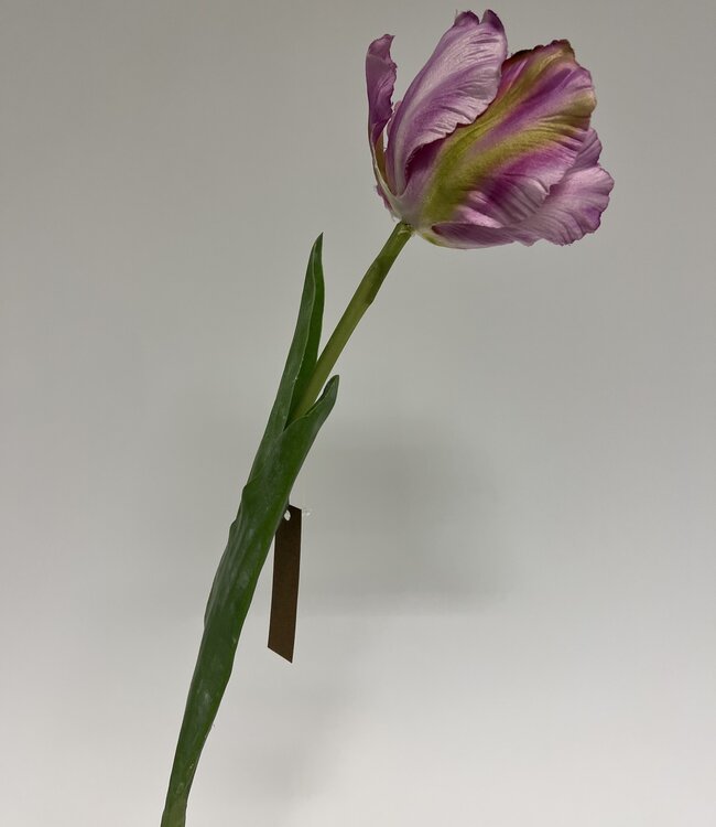 tulp | roze | 45 centimeter | Per stuk te bestellen