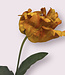 Orange parakeet tulip silk flower | Length 77 centimetres | Ordered by piece