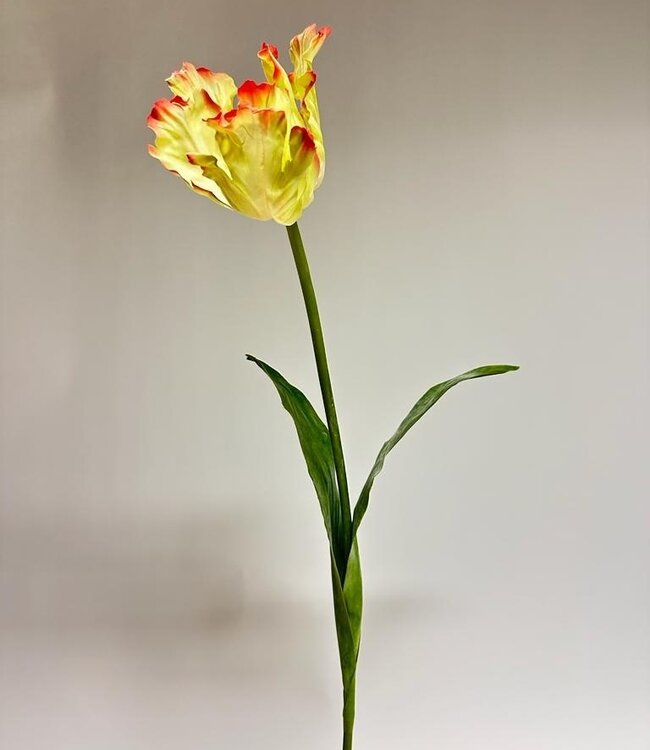 Yellow-pink parakeet tulip silk flower | Length 80 centimetres | Ordered by piece