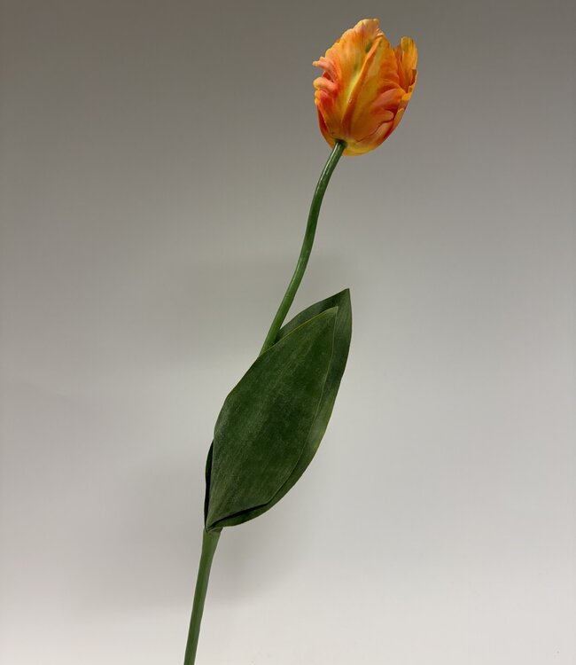 Oranje tulp zijden bloem | Lengte 64 centimeter | Per stuk te bestellen