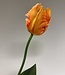 Oranje tulp zijden bloem | Lengte 64 centimeter | Per stuk te bestellen