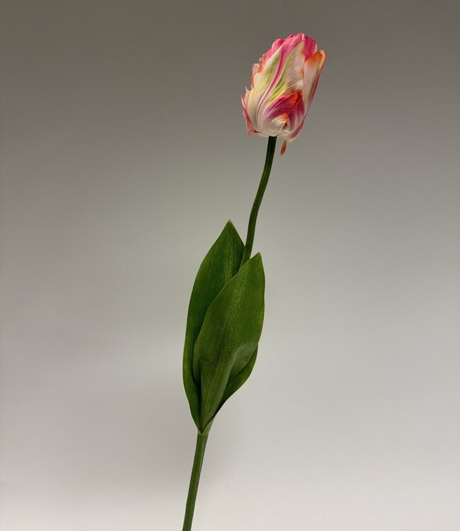 Witroze tulp zijden bloem | Lengte 64 centimeter | Per stuk te bestellen