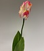 Witroze tulp zijden bloem | Lengte 64 centimeter | Per stuk te bestellen