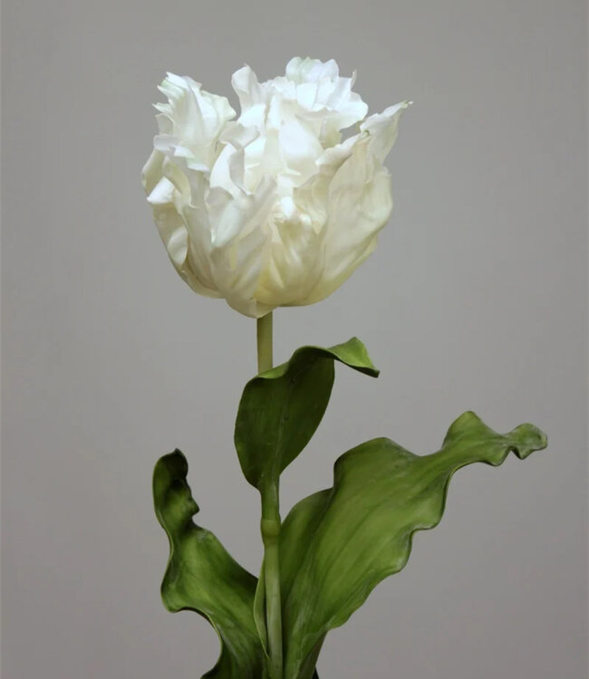 parkiet tulp | wit | 83 centimeter | Per stuk te bestellen