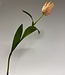 Lichtroze tulp zijden bloem | Lengte 66 centimeter | Per stuk te bestellen