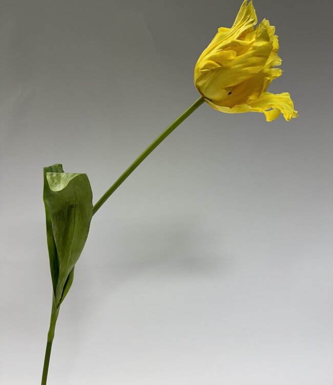 Yellow parakeet tulip silk flower | Length 80 centimetres | Ordered by piece