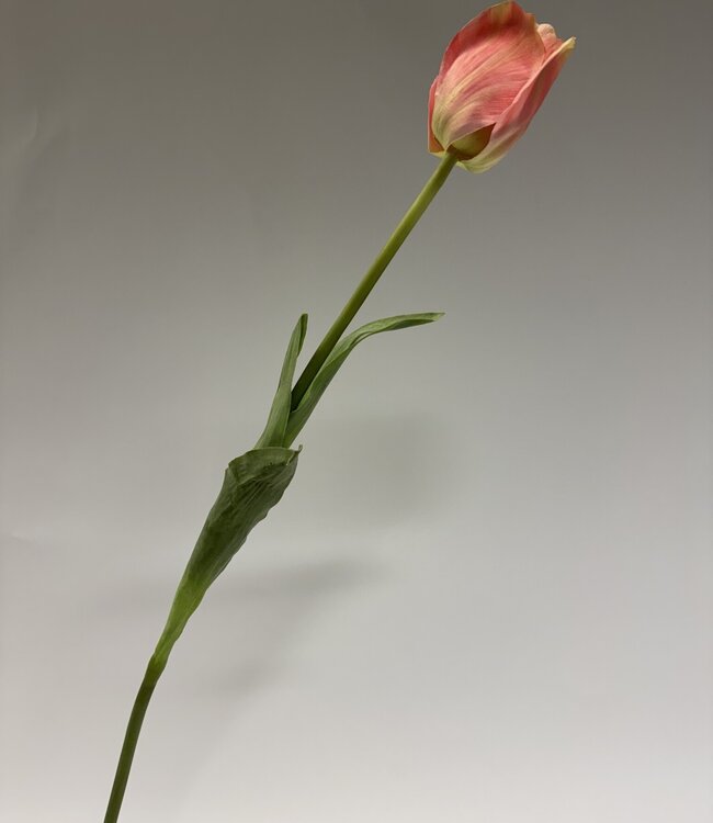 Roze tulp zijden bloem | Lengte 66 centimeter | Per stuk te bestellen