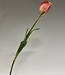 Roze tulp zijden bloem | Lengte 66 centimeter | Per stuk te bestellen