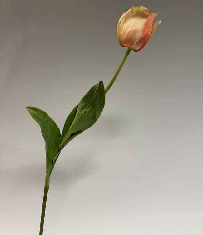 Perzik kleurige tulp zijden bloem | Lengte 66 centimeter | Per stuk te bestellen