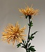 Oranje chrysant zijden bloem | Lengte  72 centimeter | Per stuk te bestellen