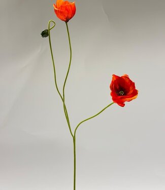 Silk Flowers by JJ klaproos x3 | rood | 74 centimeter | Per stuk