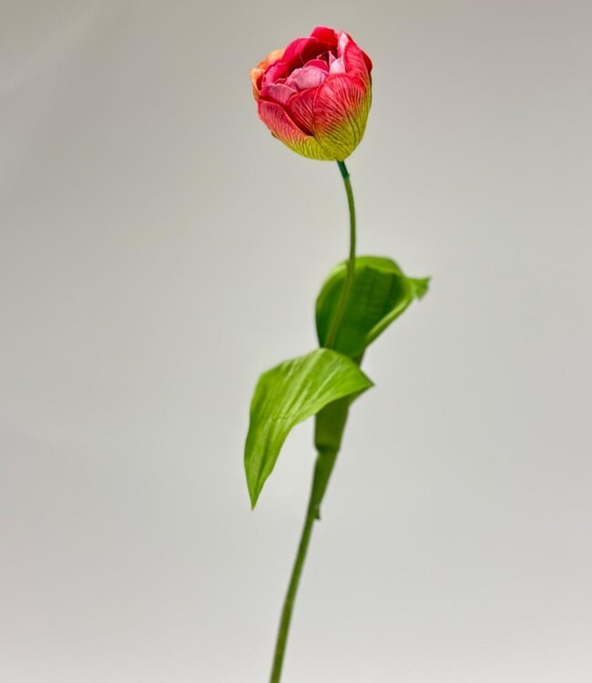 Roze tulp zijden bloem | Lengte 48 centimeter | Per stuk te bestellen