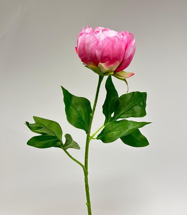 Roze pioenroos zijden bloem | Lengte 58 centimeter | Per stuk te bestellen