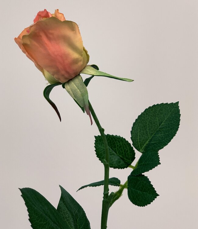 Salmon-coloured rose with rose silk flower | Length 36 centimetres | Ordered by piece