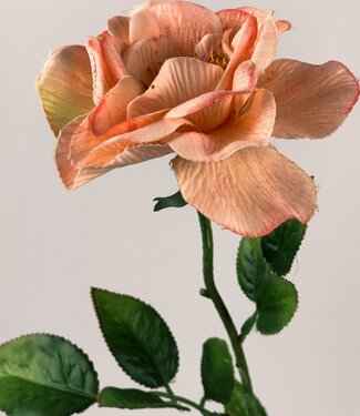 Silk Flowers by JJ Salmon-coloured rose with rose silk flower | Length 67 centimetres | Per piece