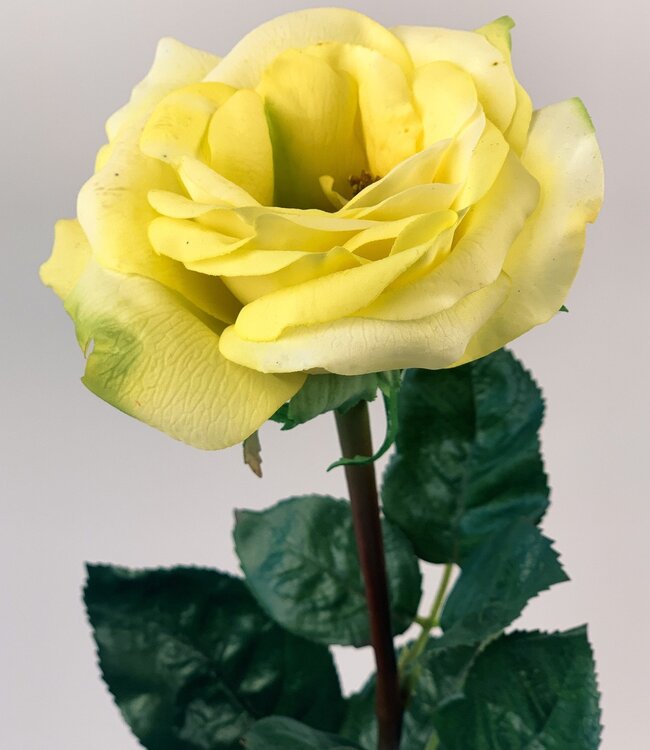 Yellow rose silk flower | Length 68 centimetres | Ordered by piece