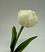 White tulip silk flower | Length 40 centimetres | Ordered by piece