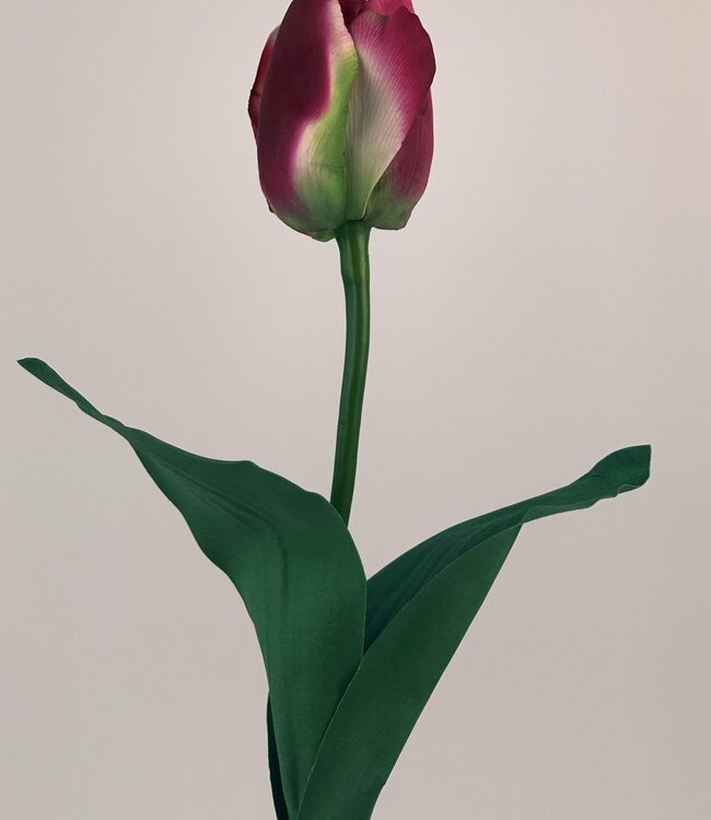 Pink tulip silk flower | Length 60 centimetres | Ordered by piece