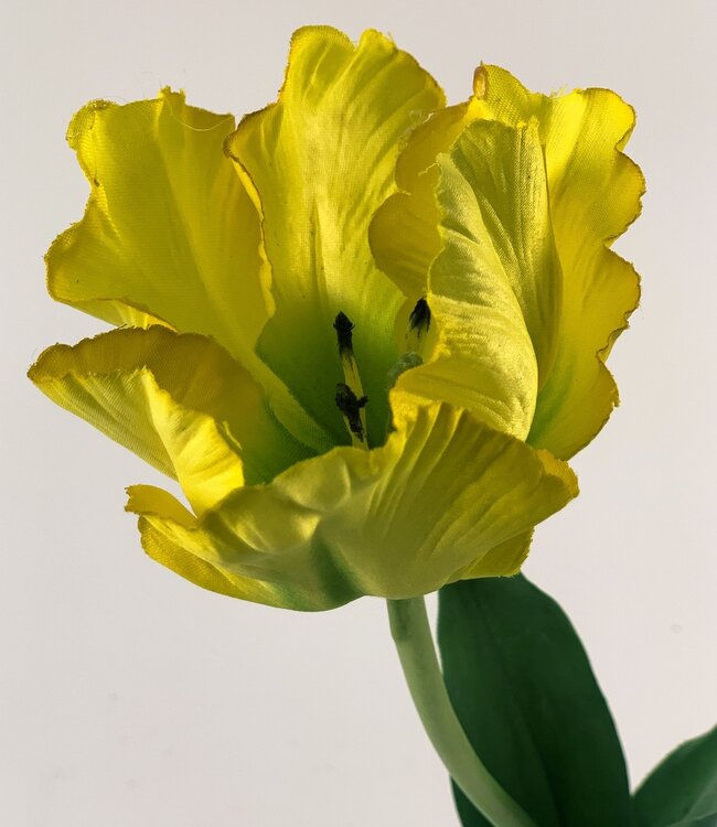 Yellow tulip silk flower | Length 45 centimetres | Ordered by piece