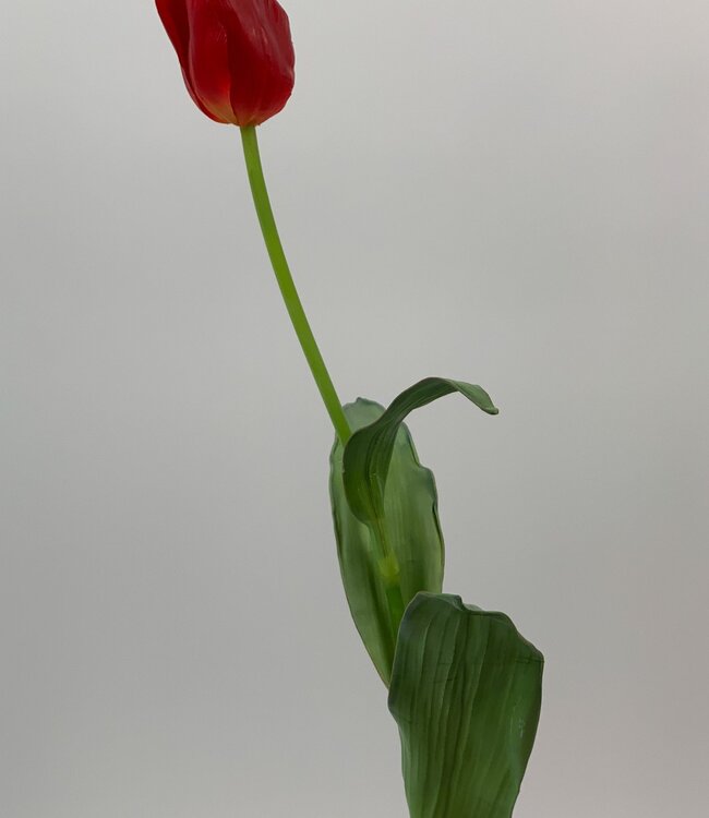 Red tulip silk flower | Length 65 centimetres | Ordered by piece