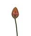 Orange tulip silk flower | Length 66 centimetres | Ordered by piece