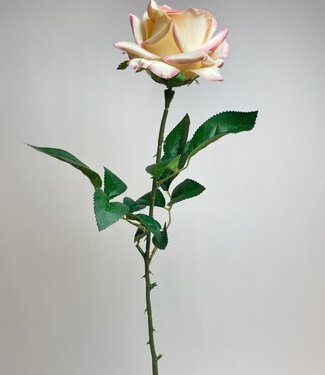 Silk Flowers by JJ Cream-coloured rose silk flower | Length 75 centimetres | Per piece