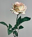 Cream-coloured rose silk flower | Length 75 centimetres | Ordered by piece