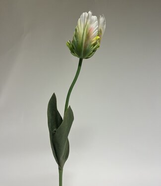 Silk Flowers by JJ Green and white tulip silk flower | Length 64 centimetres | Per piece