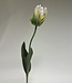 Green and white tulip silk flower | Length 64 centimetres | Ordered by piece