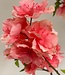 Pink blossom silk flower | Length 115 centimetres | Ordered by piece