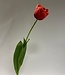 Red peony tulip silk flower | Length 73 centimetres | Ordered by piece