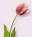 Lilac-coloured tulip silk flower | Length 62 centimetres | Ordered by piece