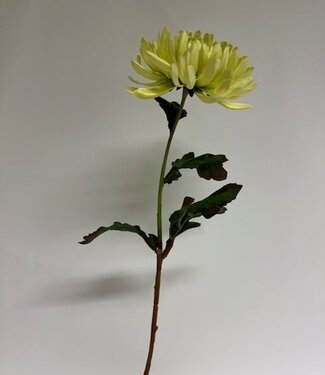 Silk Flowers by JJ Groene chrysant zijden bloem | Lengte  60 centimeter | Per stuk