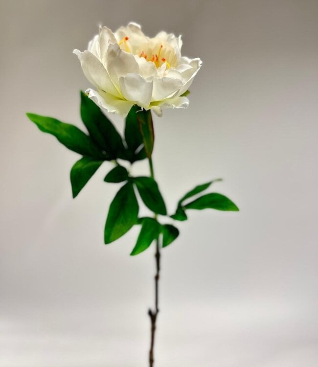 White peony silk flower | Length 51 centimetres | Ordered by piece