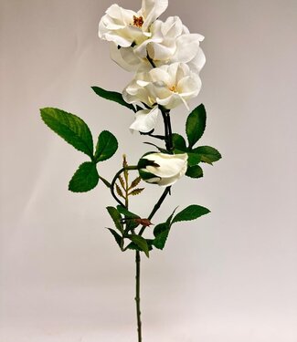 Silk Flowers by JJ Witte roos zijden bloem | Lengte 60 centimeter | Per stuk