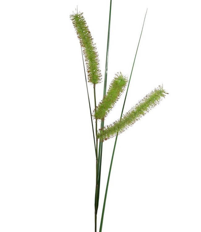 Kunstplanten Carex Long Spiculate 132cm ( x 6 )