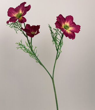 Silk Flowers by JJ Pink cosmos silk flower | Length 65 centimetres | Per piece