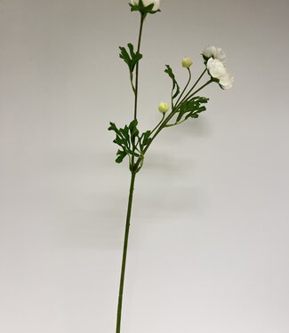 Silk Flowers by JJ Cream-coloured ranunculus silk flower | Length 65 centimetres | Per piece