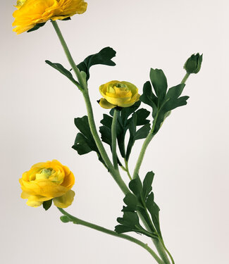 Silk Flowers by JJ Yellow ranunculus silk flower | Length 65 centimetres | Per piece