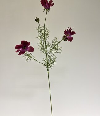 Silk Flowers by JJ Fuchsia-coloured cosmos silk flower | Length 90 centimetres | Per piece