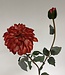 Red dahlia silk flower | Length 75 centimetres | Ordered by piece